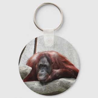 Llavero Orangutan