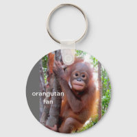 Orangutan bebé en el árbol