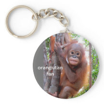 Orangutan bebé en el árbol