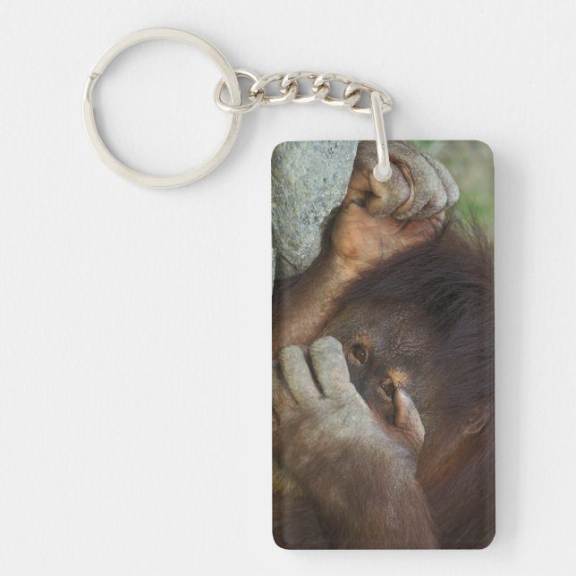 Llavero Orangután de Sumatra, Pongo pygmaeus (Frente)