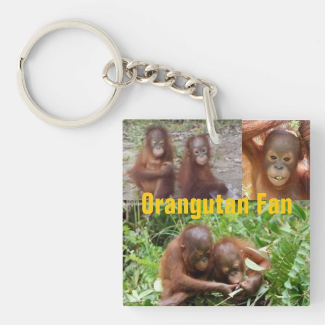 Llavero Orangutanes del bebé en Borneo (Frente)