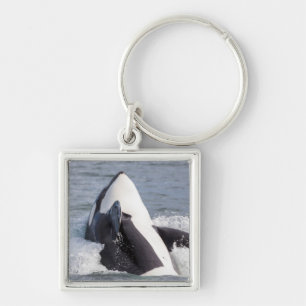 Llavero Orca saltando fuera del agua