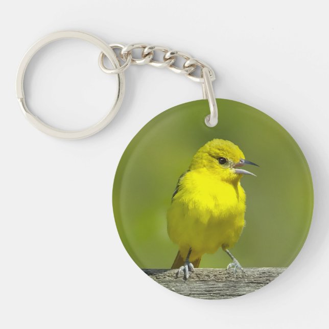 Llavero Orchard Oriole - Foto original (Frente)