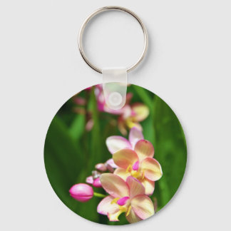 Llavero Orchidaceae Keychain