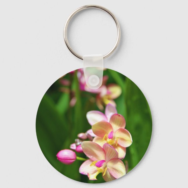 Llavero Orchidaceae Keychain (Anverso)