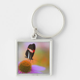 Llavero Oregon, los E.E.U.U. 2