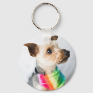 Llavero Orgullo gay Perro arco iris   Yorkshire Terrier