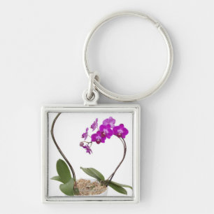 Llavero Orquídea llena del marco aislada en un fondo