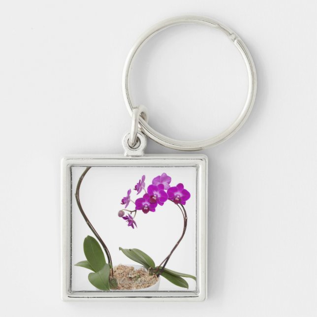 Llavero Orquídea llena del marco aislada en un fondo (Frente)