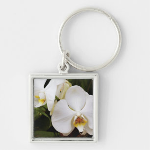 Llavero Orquídea Luna Blanca (Phalaenopsis Aphrodite)