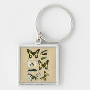 Llavero Orugas, mariposas y polillas de Swallowtail
