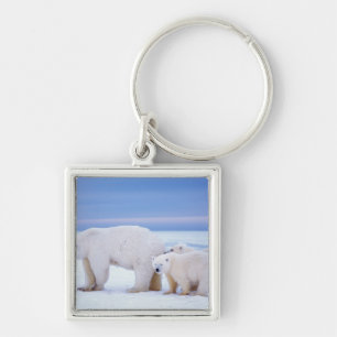 Llavero Osa de oso polar con crías