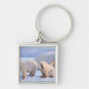 Llavero Osa de oso polar con crías en el hielo a la deriva