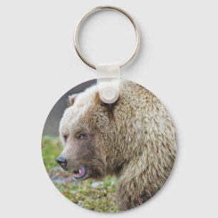 Llavero Oso de Brown de Alaska