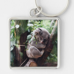 Llavero Oso de koala lindo que se relaja en un árbol