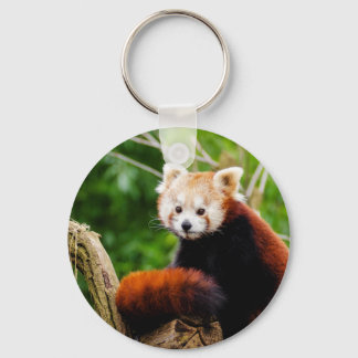 Llavero Oso de Panda Rojo