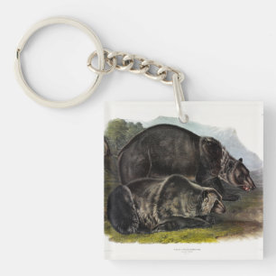 Llavero Oso Grizzly (Oso Marrón Norteamericano) - Audubon