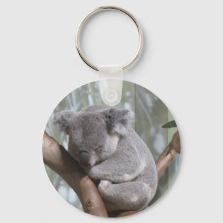 Llavero oso koala