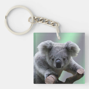 Llavero Oso Koala