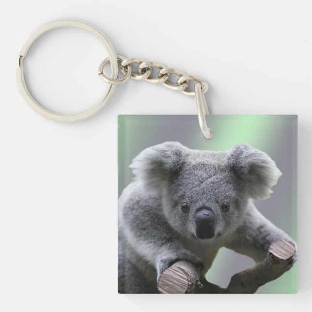 Llavero Oso Koala (Frente)