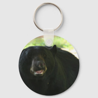 Llavero oso negro
