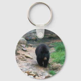 Llavero Oso Negro Americano