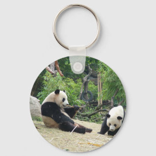 Llavero Oso panda gigante en una fotografía de zoológico d