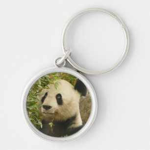 Llavero oso panda osos personalizados aniversarios