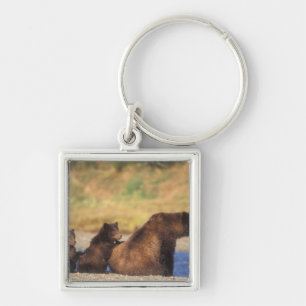 Llavero Oso pardo, oso grizzly, cerda con crías,