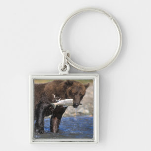 Llavero Oso pardo, oso grizzly, con captura de salmón,