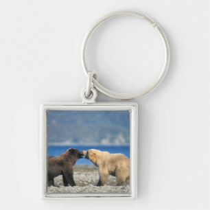 Llavero Oso pardo, oso grizzly, jugar en la playa,