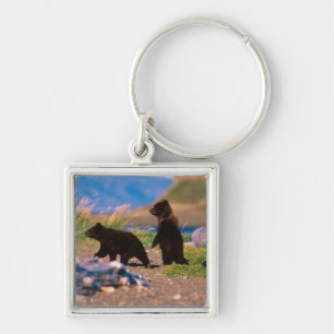 Llavero Oso pardo, Ursus arctos, Península de Alaska,