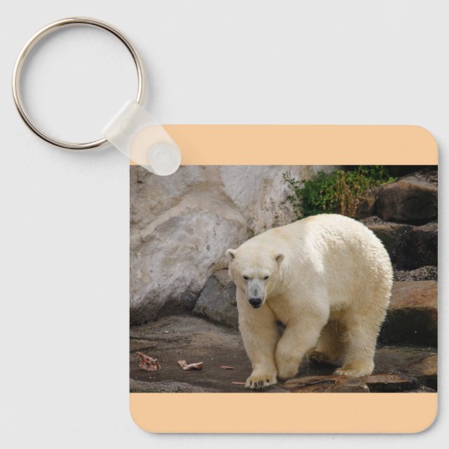 Llavero oso polar (Anverso)