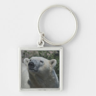 Llavero Oso polar