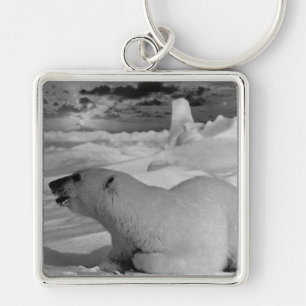 Llavero Oso polar Alaska de los Estados Unidos de América 