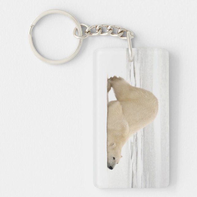 Llavero Oso polar arañándose sobre tundra congelada (Frente)