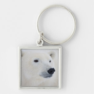 Llavero Oso Polar Churchill