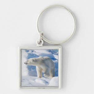 Llavero Oso polar macho joven