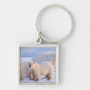 Llavero Oso polar sembrado con cachorros en hielo empacado