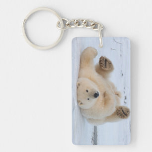 Llavero oso polar, Ursus maritimus, cachorro rodando 3