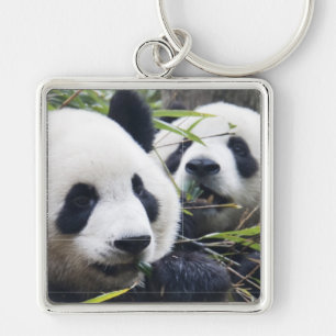 Llavero Osos de panda