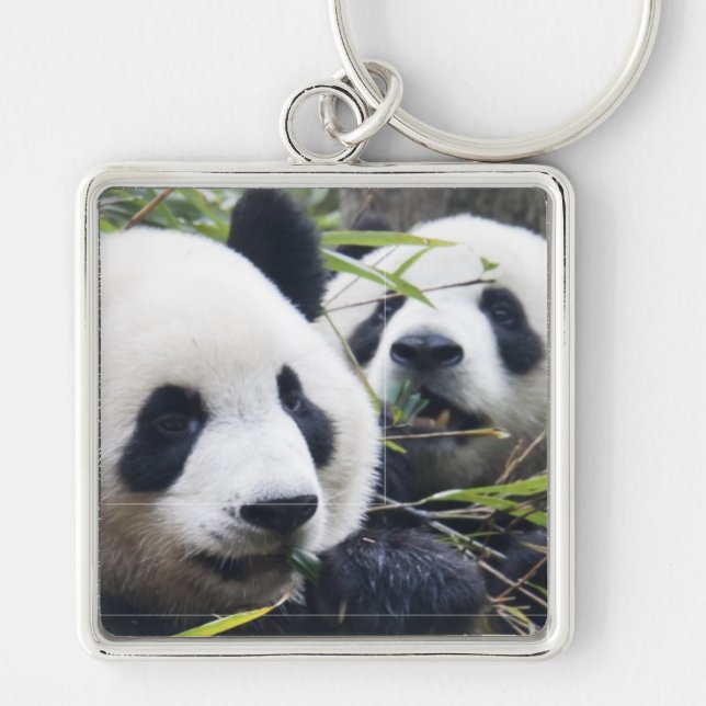 Llavero Osos de panda (Frente)