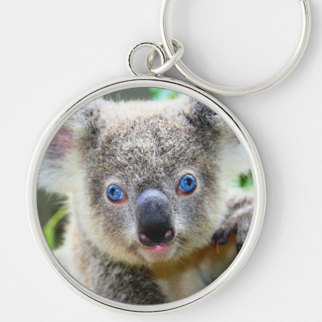 Llavero Osos Koala (Frente)
