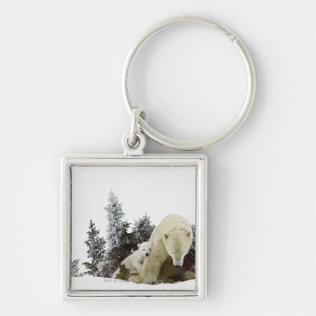 Llavero Osos polares en el parque nacional de Wapusk (Frente)