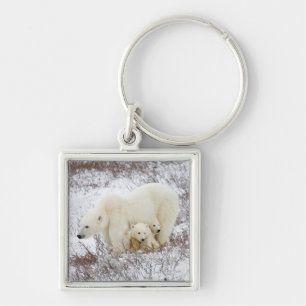 Llavero Osos polares hembra y dos cubos