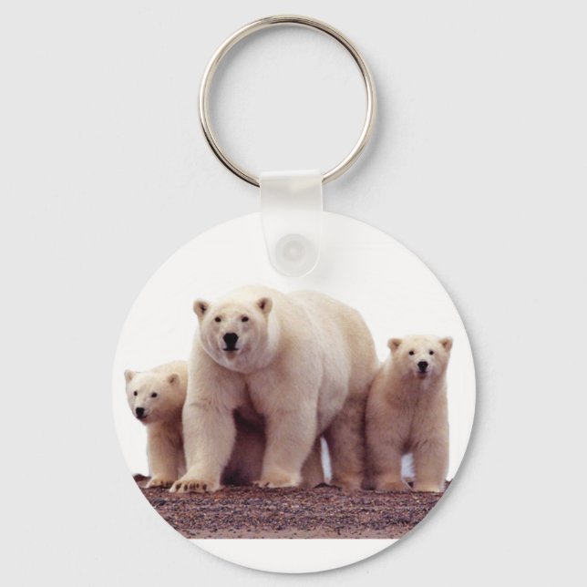 Llavero Osos salvajes (Anverso)