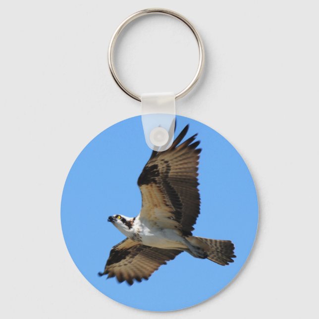 Llavero Osprey Bird Keychain (Anverso)