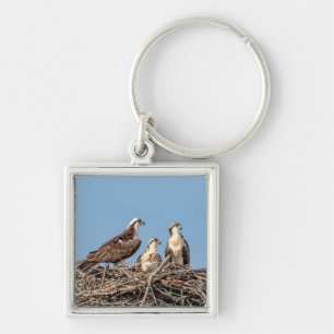 Llavero Osprey mamá con sus hijos
