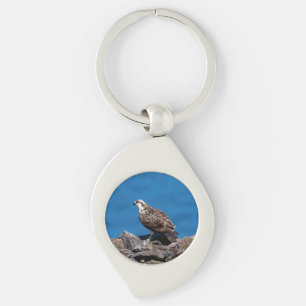 Llavero Osprey sobre las rocas