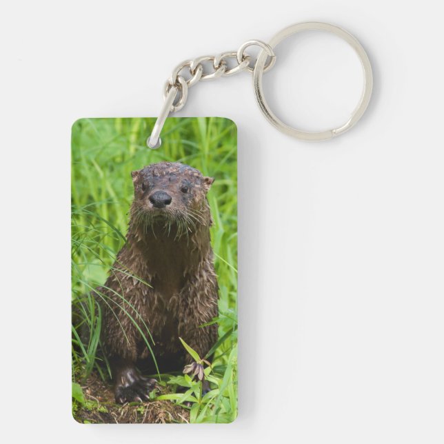 Llavero Otter fluvial inteligente (Atrás)